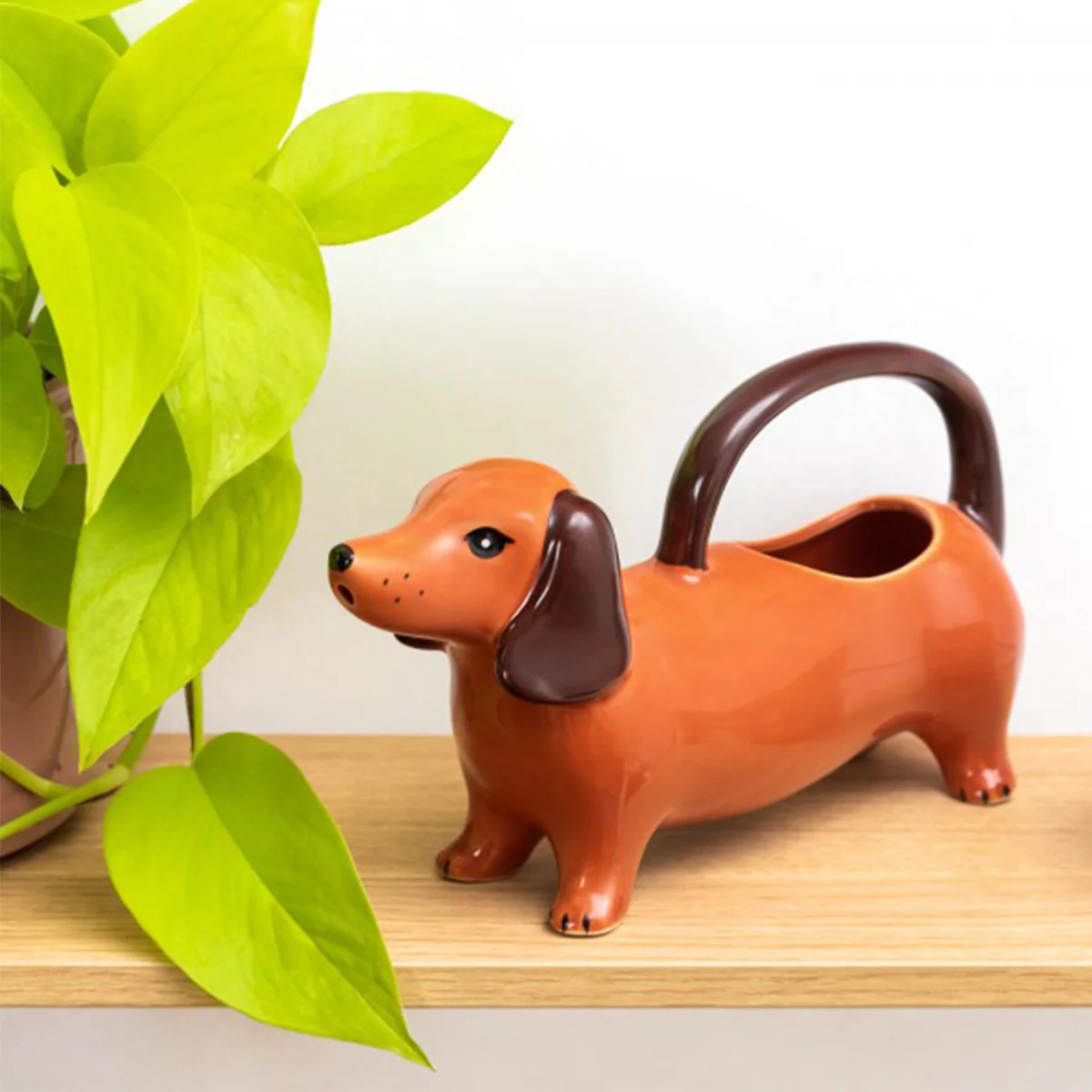 Arrosoir Chien Saucisse - Image 4