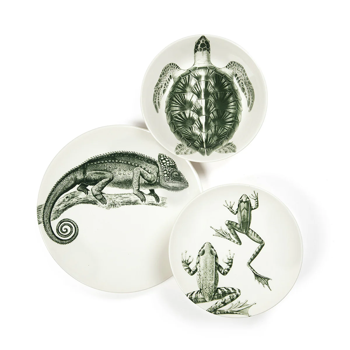 Assiette plate - Cameleon - Image 2