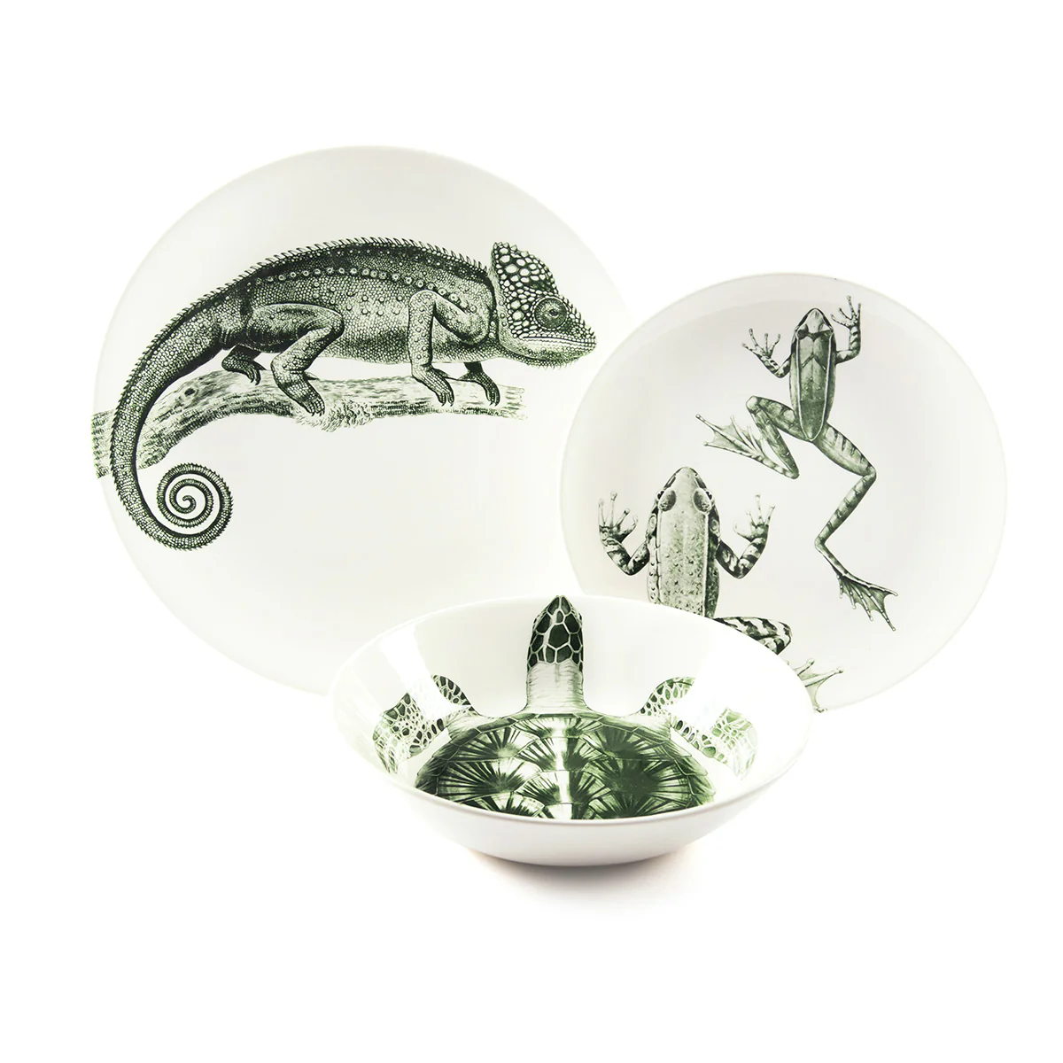 Assiette plate - Cameleon - Image 3