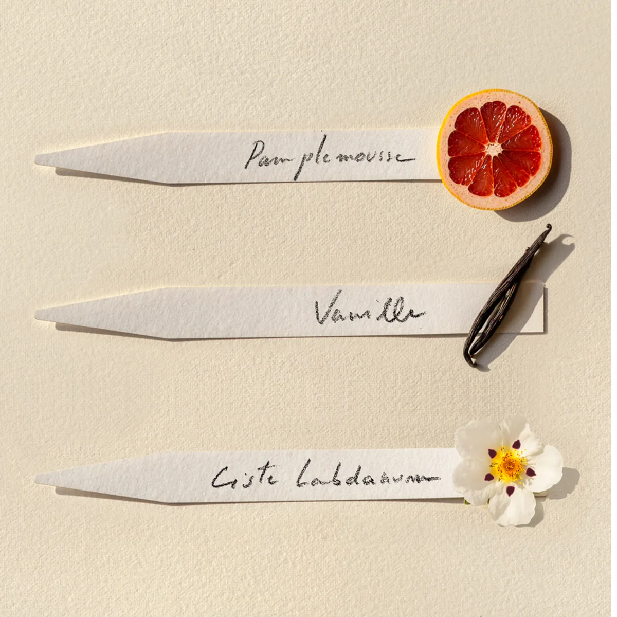 Bougie parfumée - Ambre - Image 3