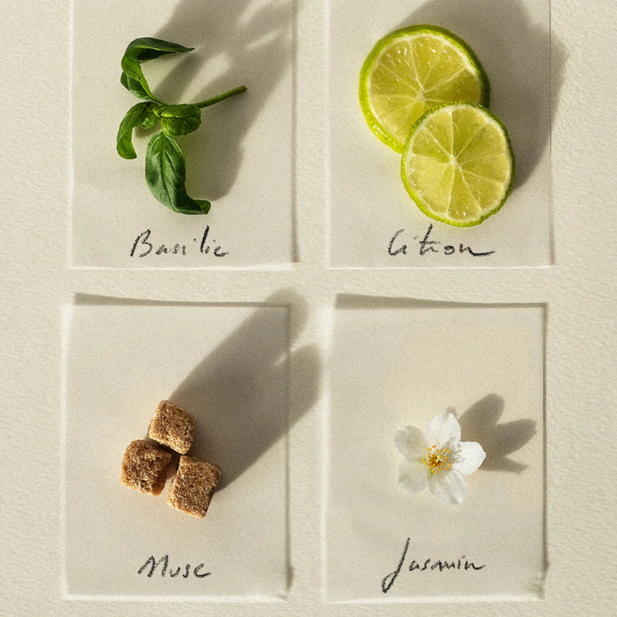 Bougie parfumée - Basilic Citron - Image 3