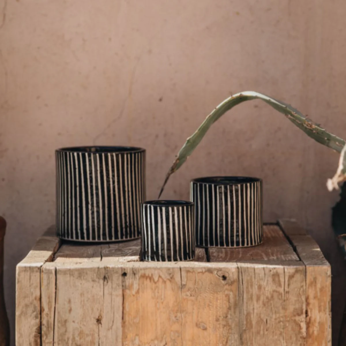 Bougie Zèbre Majorelle - Mandarine - Image 2