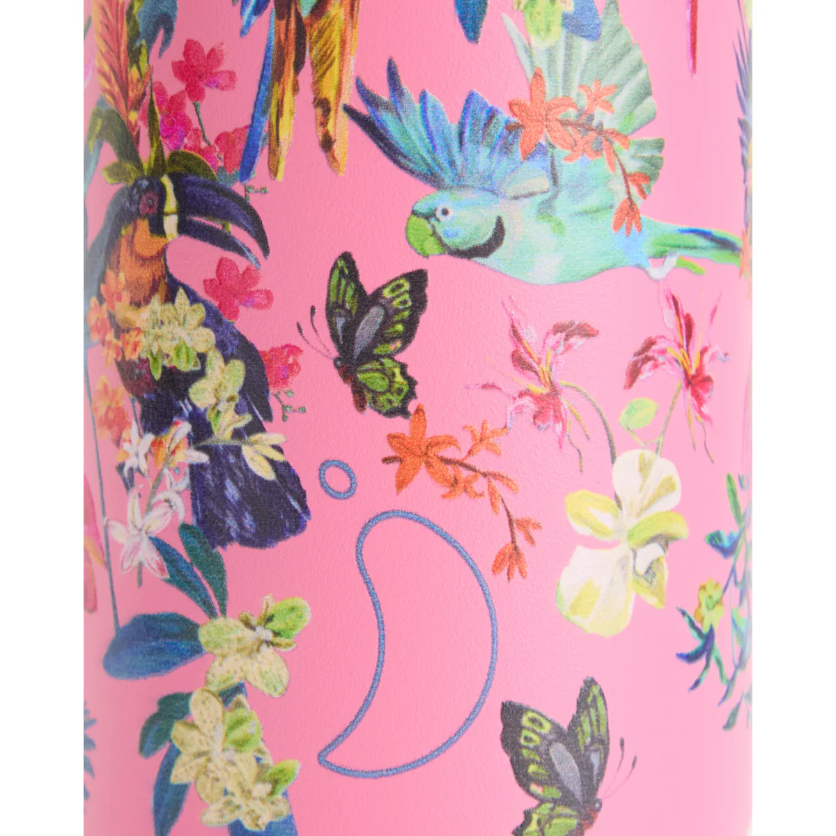 Bouteille Tropical - Macaw Madness 500 ml - Image 2