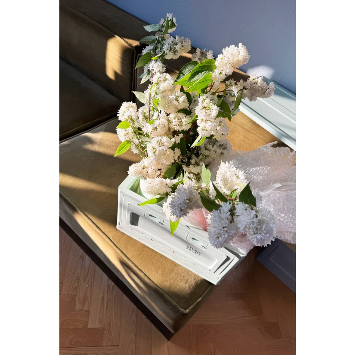 Box Studio About - Mint - Image 17