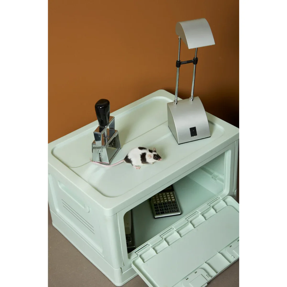 Box Studio About - Mint - Image 4