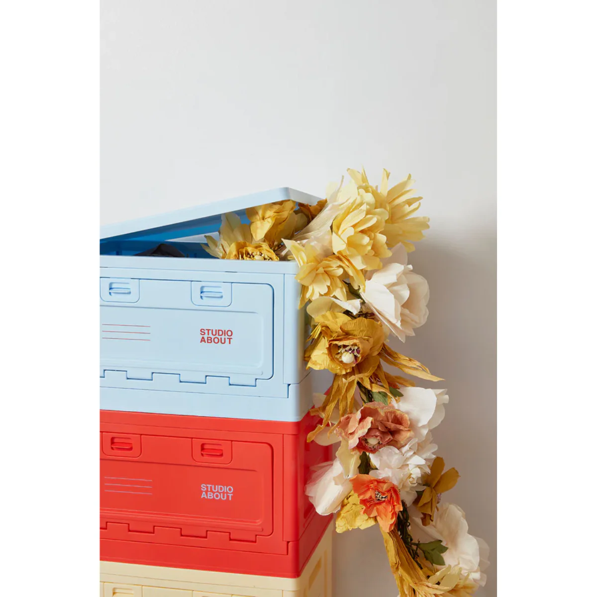 Box Studio About - Rouge - Image 16