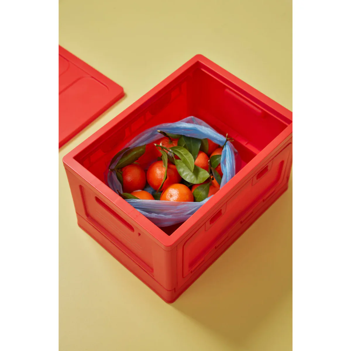 Box Studio About - Rouge - Image 7