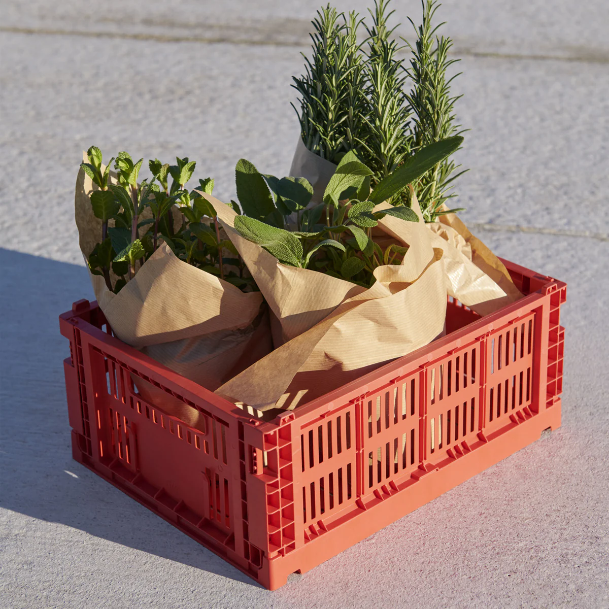 Caisse Crate M - Image 17
