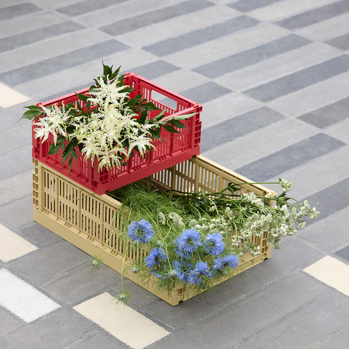Caisse Crate M - Image 24