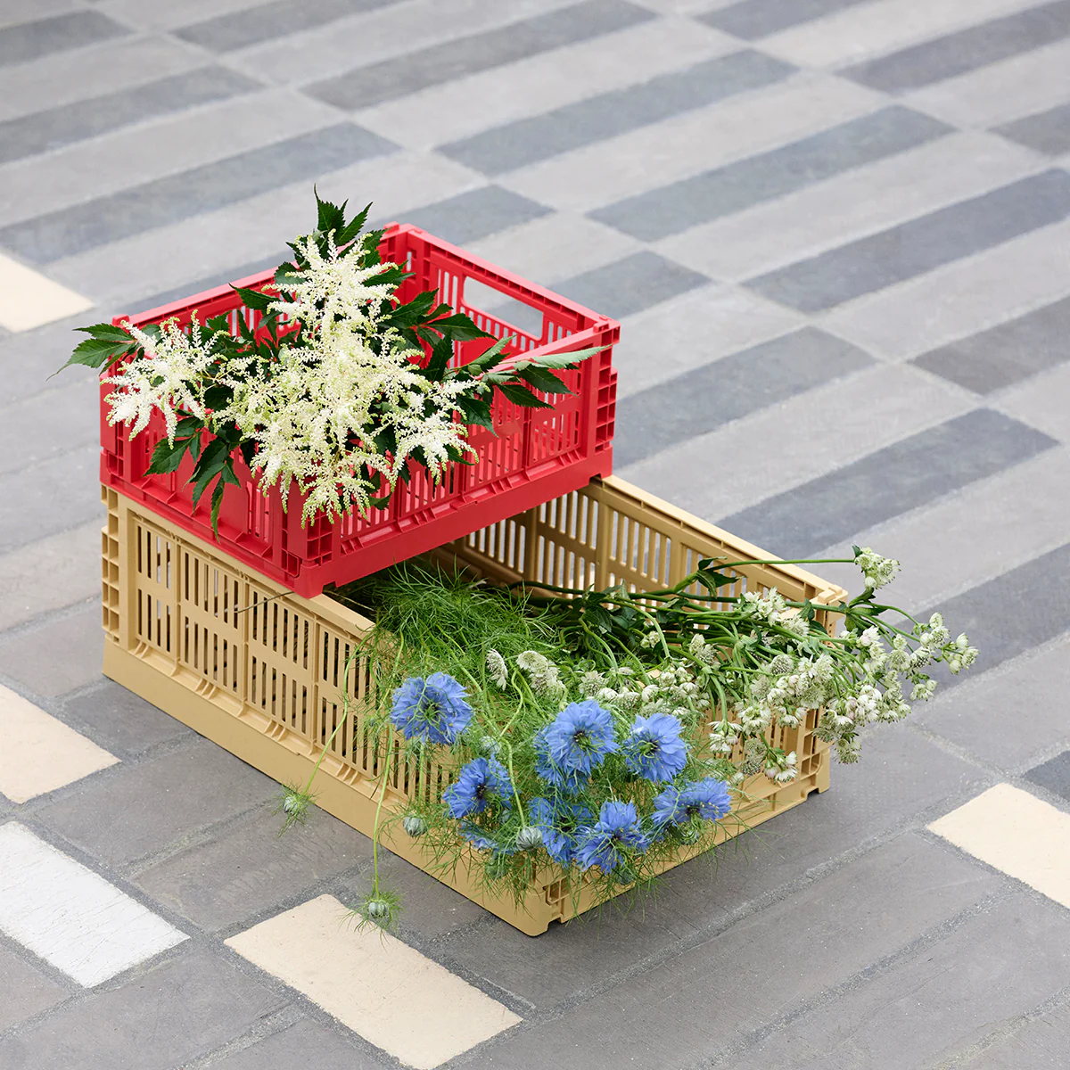 Caisse Crate S - L 26.5 cm X H 10.5 cm - Image 10