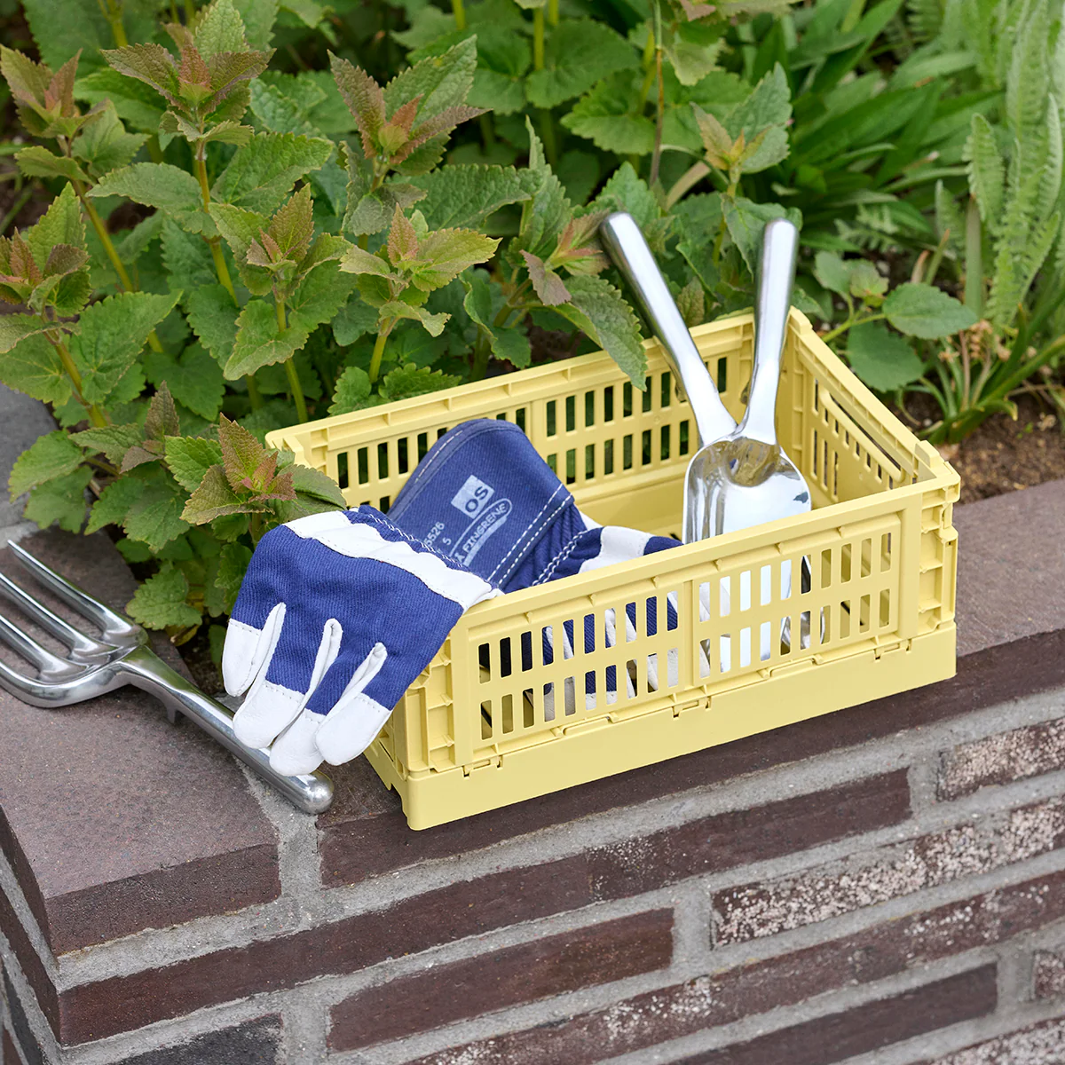 Caisse Crate S - L 26.5 cm X H 10.5 cm - Image 9
