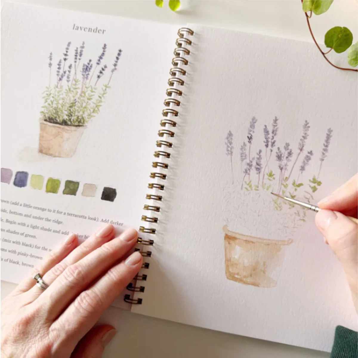 Carnet d'aquarelle - Garden - Image 2