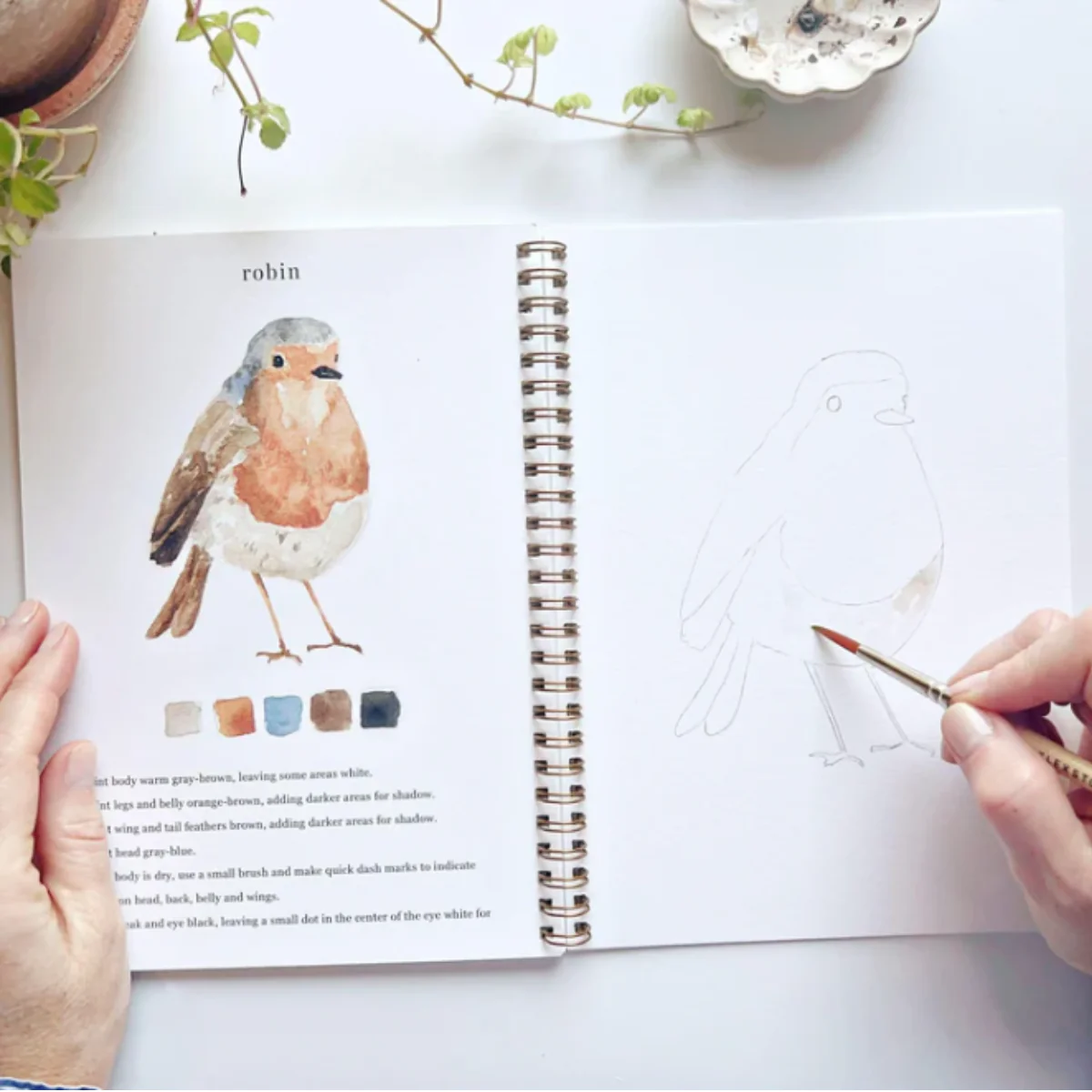 Carnet d'aquarelle - Birds - Image 6