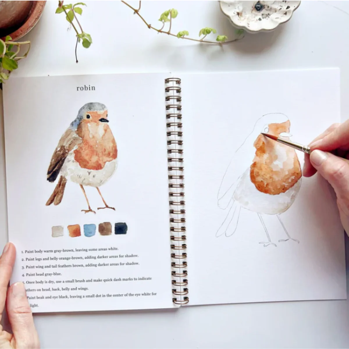 Carnet d'aquarelle - Birds - Image 7
