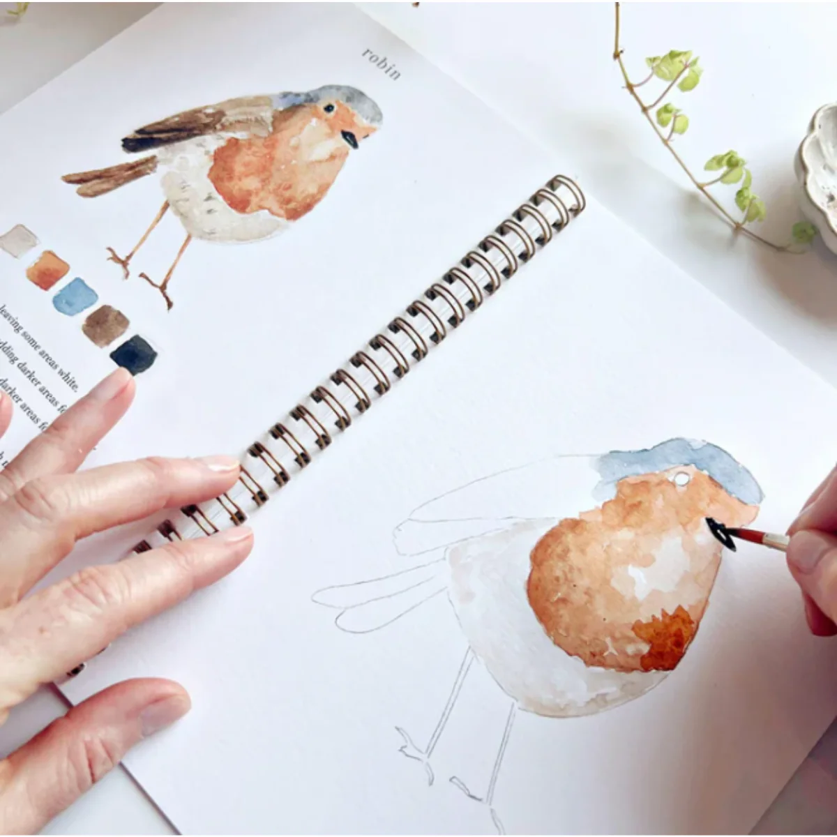 Carnet d'aquarelle - Birds - Image 8
