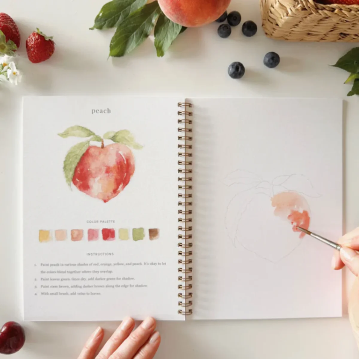 Carnet d'aquarelle - Fruit - Image 5
