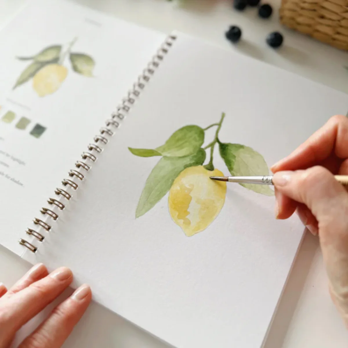 Carnet d'aquarelle - Fruit - Image 7