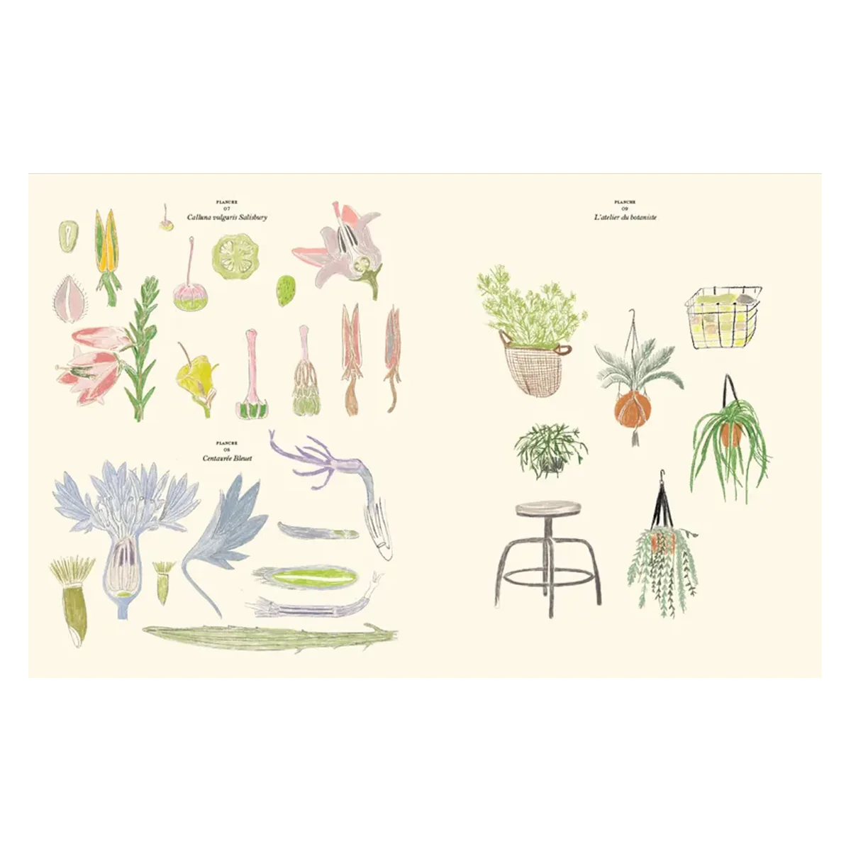 Carnet de coloriage et de stickers Le jardin - Zoé de Las Cases - Image 2