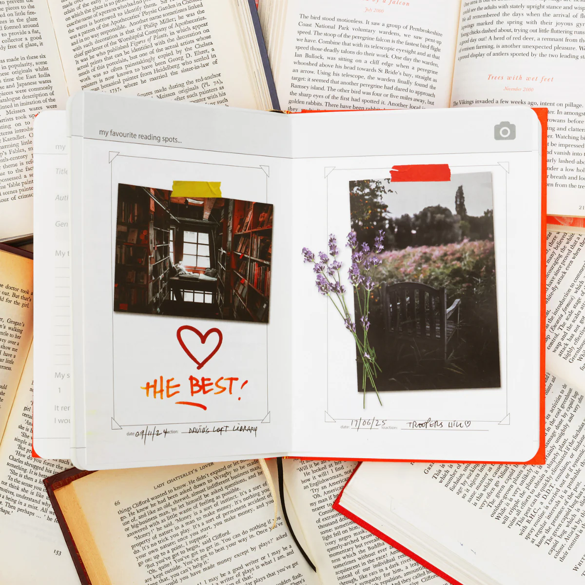 Carnet My Book Reviews - Image 4