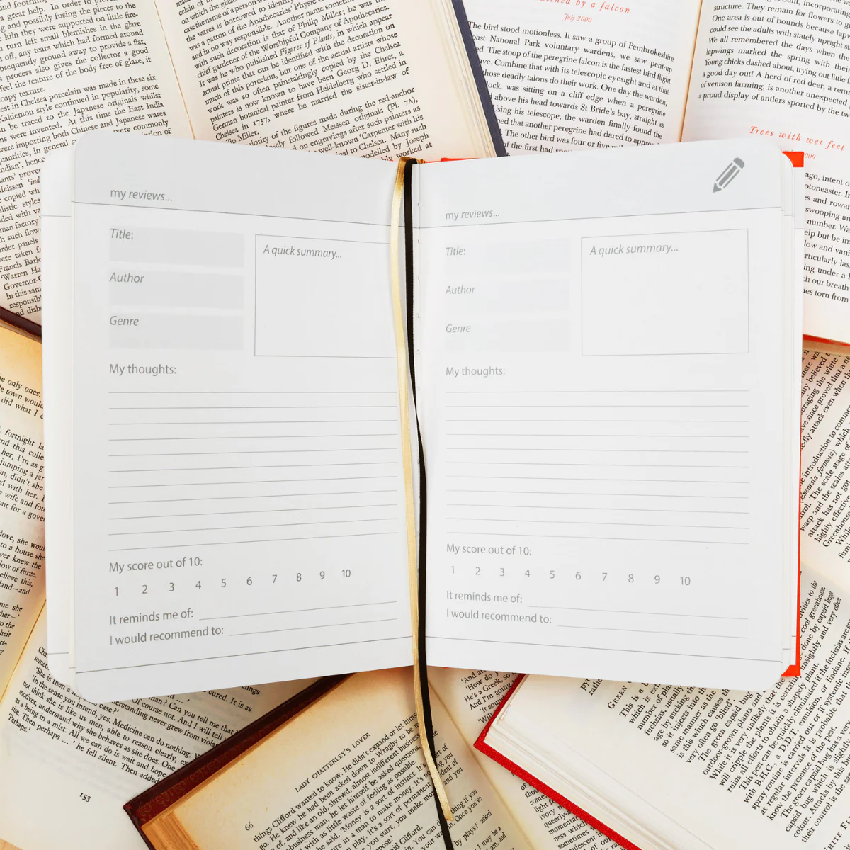 Carnet My Book Reviews - Image 6