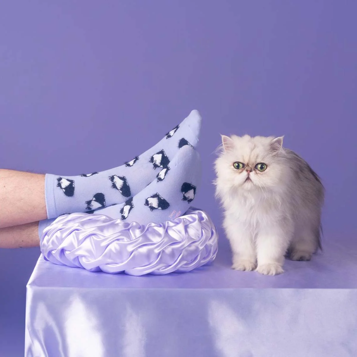 Chaussettes Chat Noir & Blanc - Violet - Image 2
