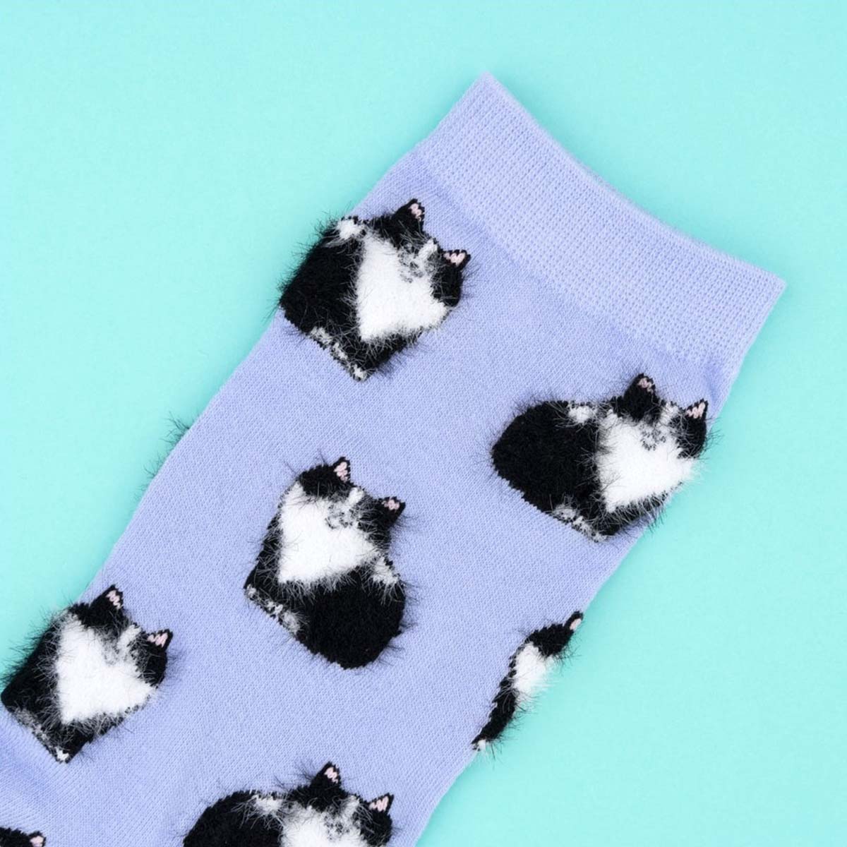 Chaussettes Chat Noir & Blanc - Violet - Image 3