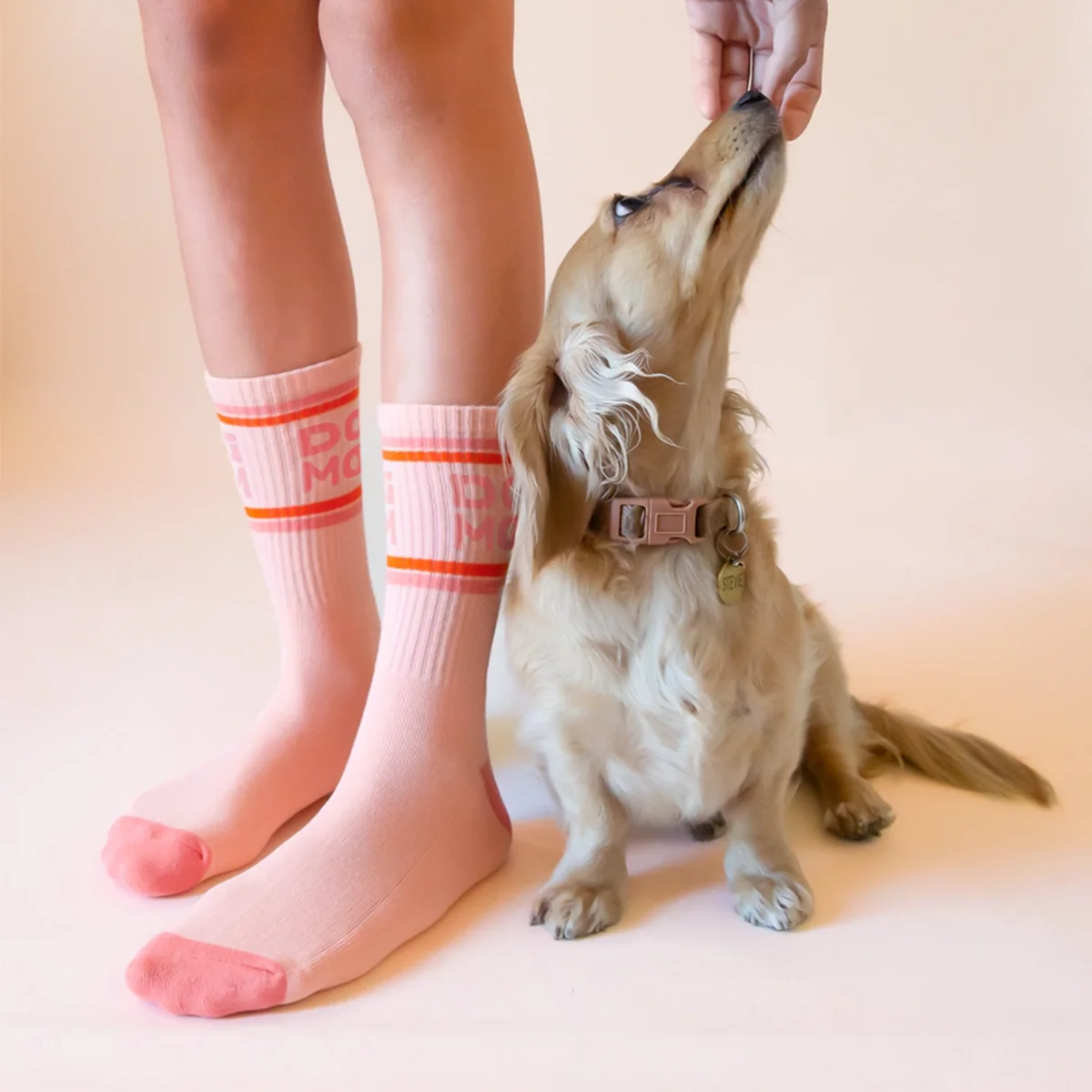 Chaussettes côtelées Dog Mom - Image 2