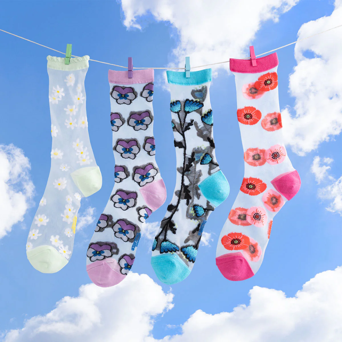 Chaussettes Transparentes 35/40 - Pâquerettes - Image 3