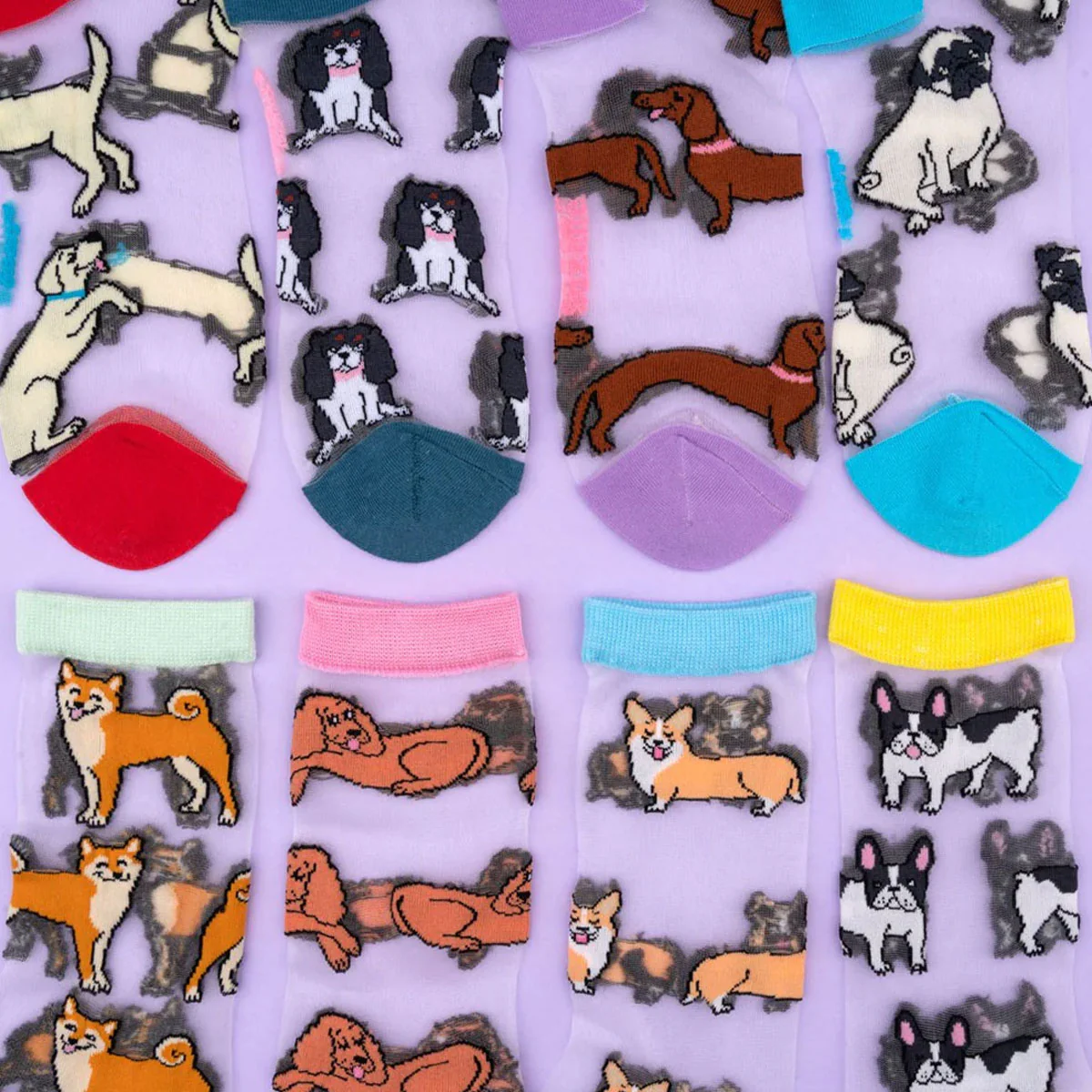 Chaussettes Transparentes - Corgi - Image 3