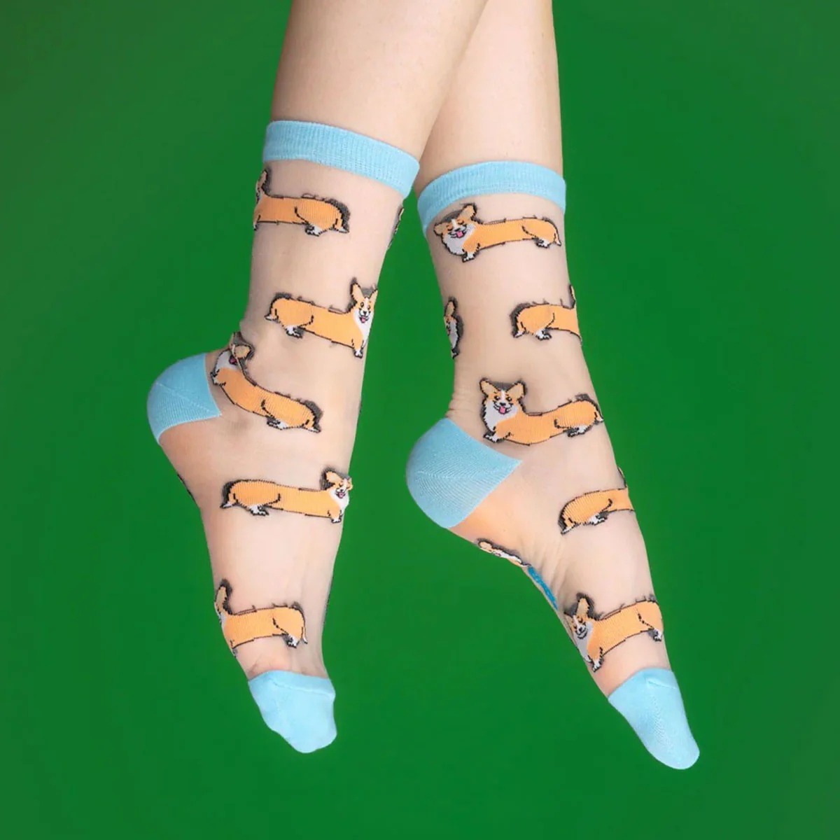 Chaussettes Transparentes - Corgi - Image 4