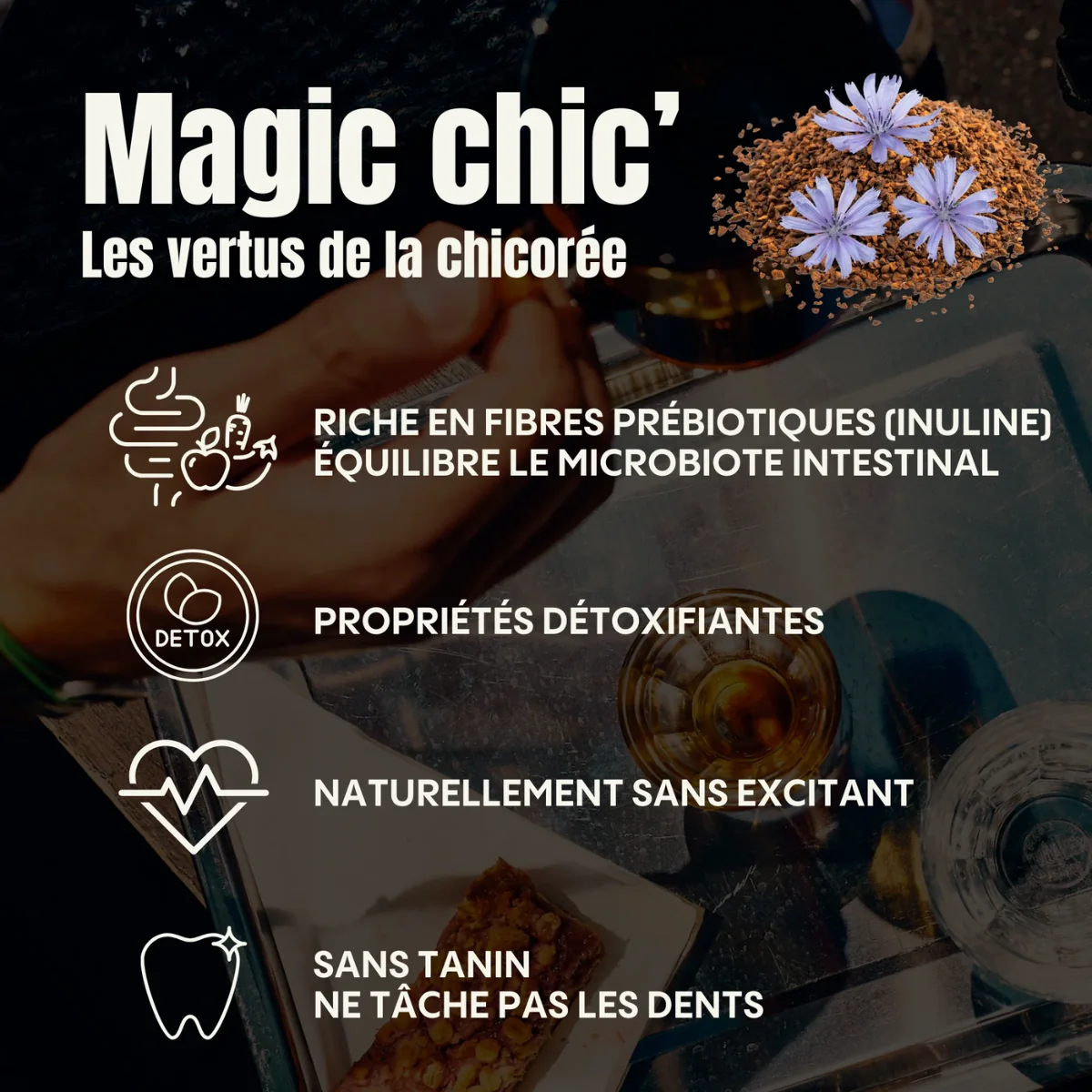 Chicorée Nature Bio - Image 8
