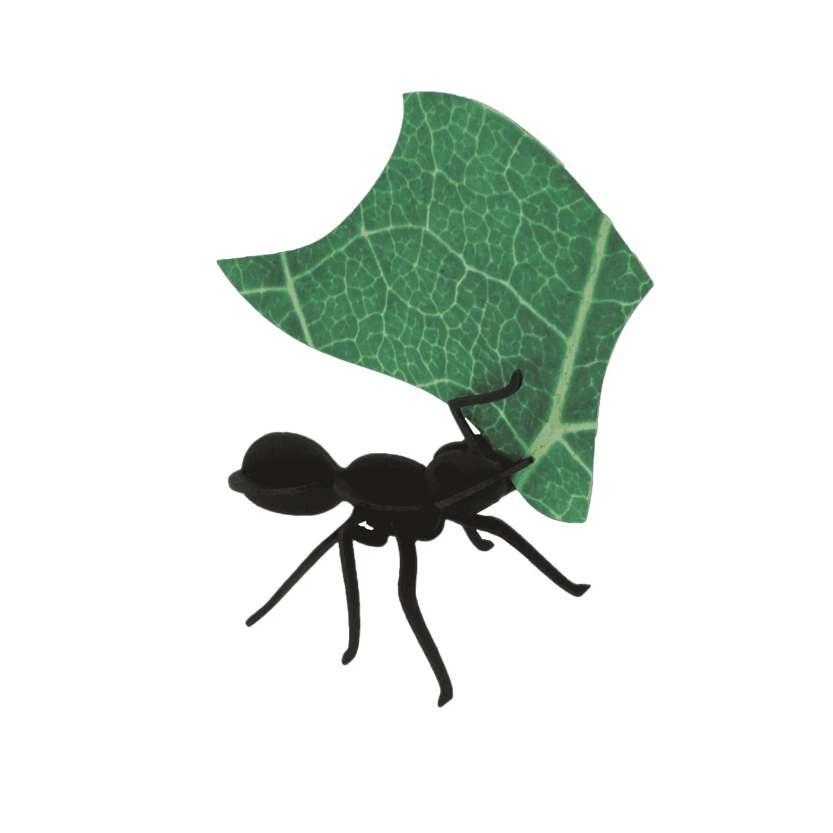 Collection Origami de 3 Fourmis Coupeuses De Feuilles - Image 3
