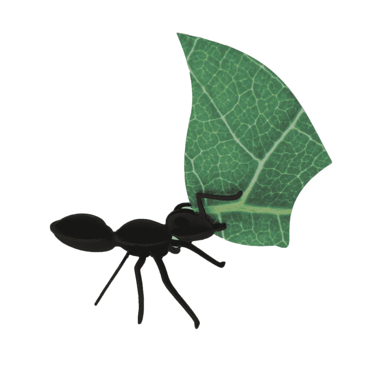 Collection Origami de 3 Fourmis Coupeuses De Feuilles - Image 4