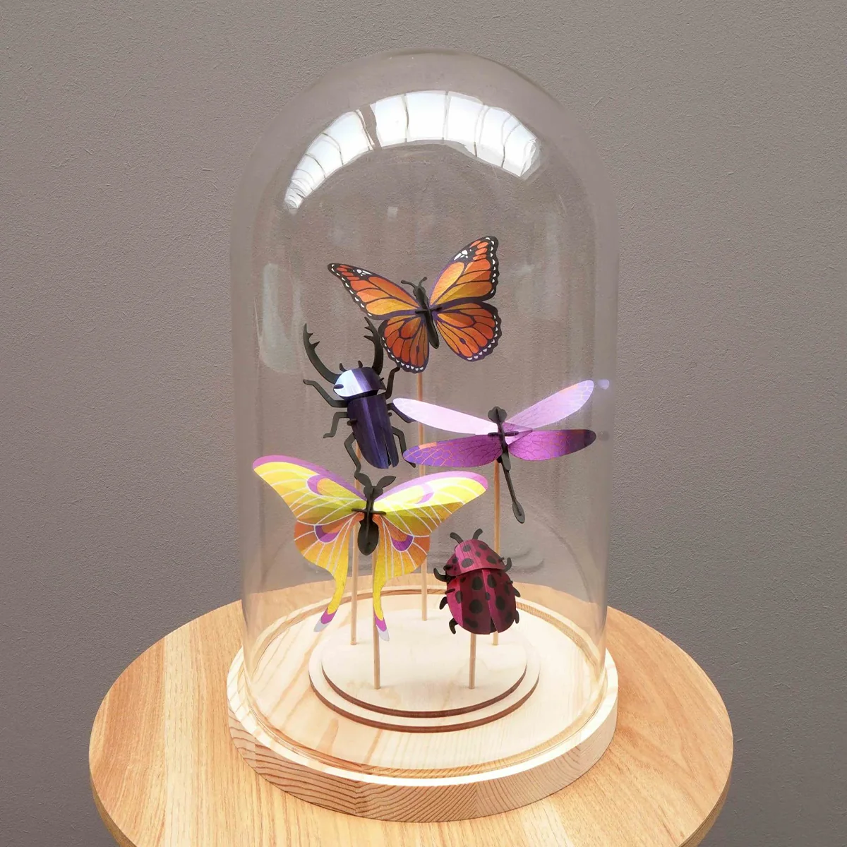 Ensemble d'insectes en papier - Violet - Image 2