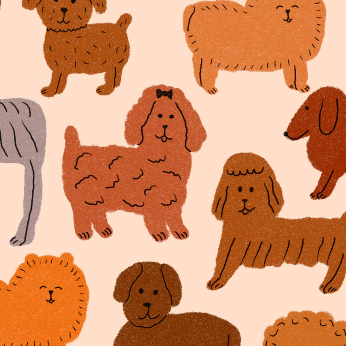 Éventail Puppies - Image 3