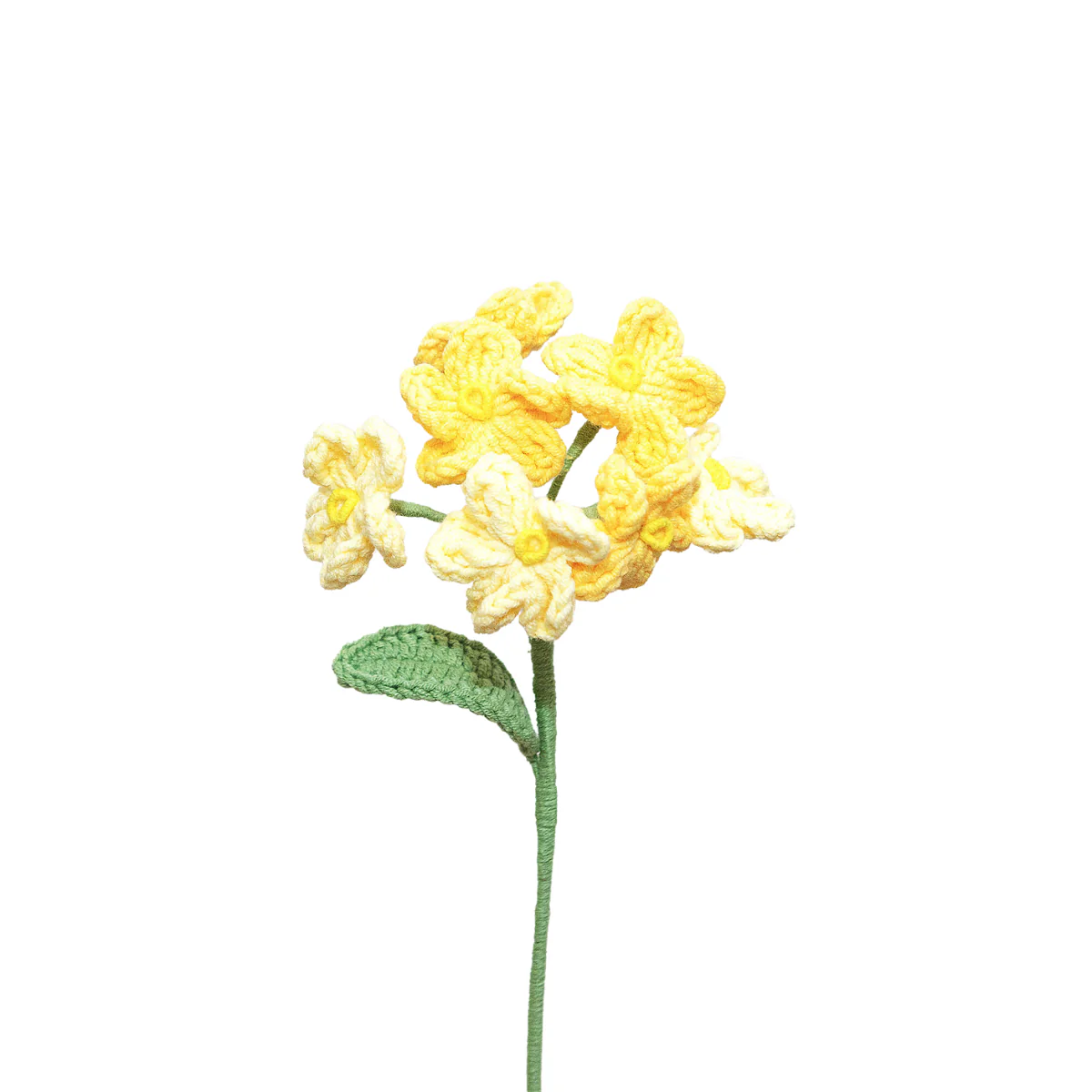 Fleurs en Crochet - Forget Me Not