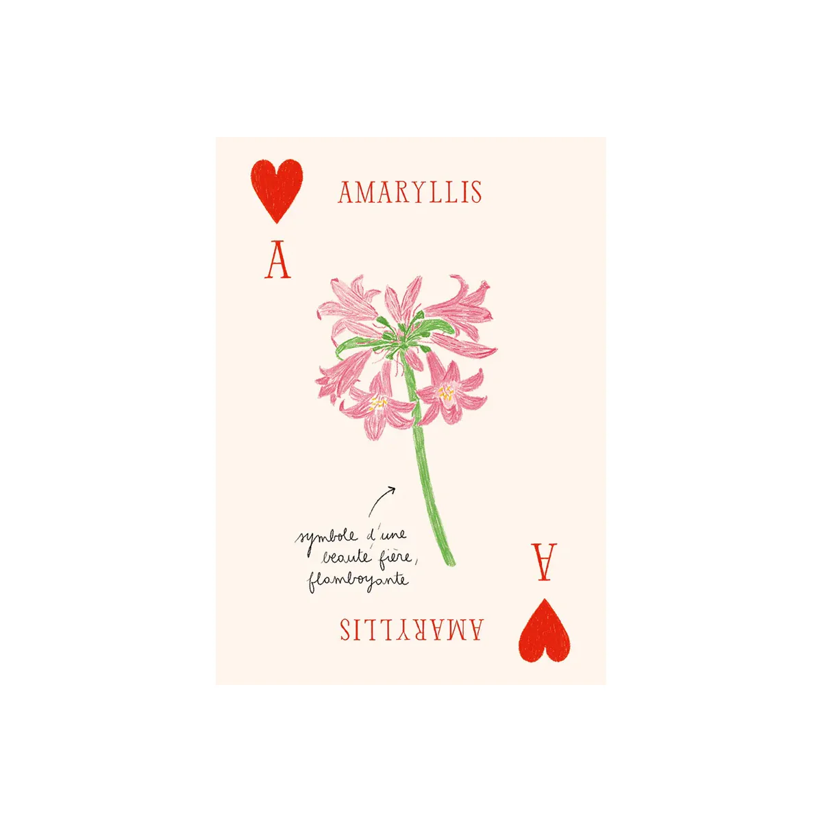 Jeu de cartes Les Fleurs - Zoé de Las Cases - Image 2
