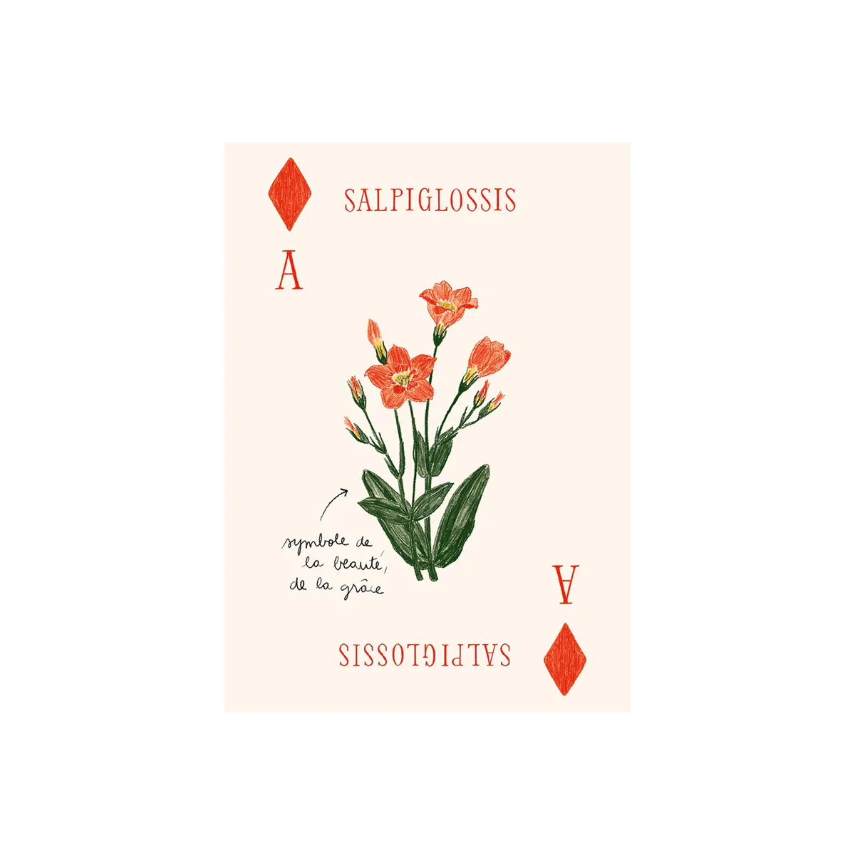 Jeu de cartes Les Fleurs - Zoé de Las Cases - Image 3