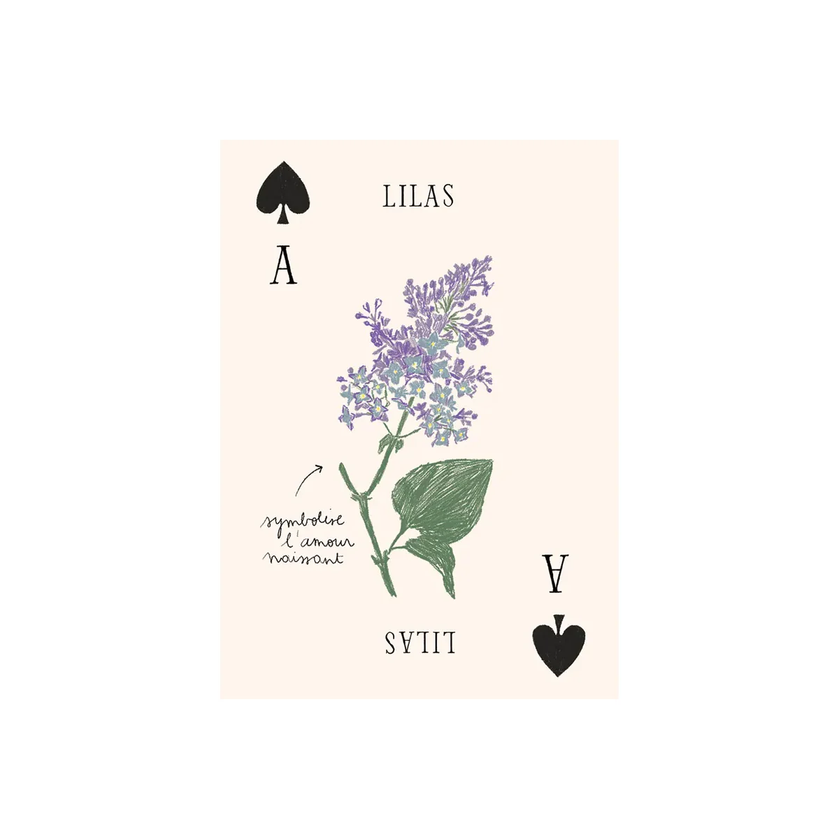 Jeu de cartes Les Fleurs - Zoé de Las Cases - Image 5