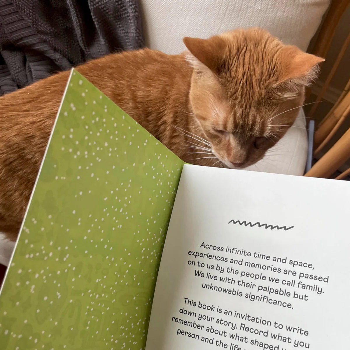 Journal Stories We Tell - Image 4