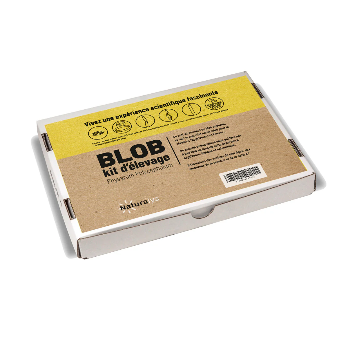 Kit d'élevage Blob - Image 2