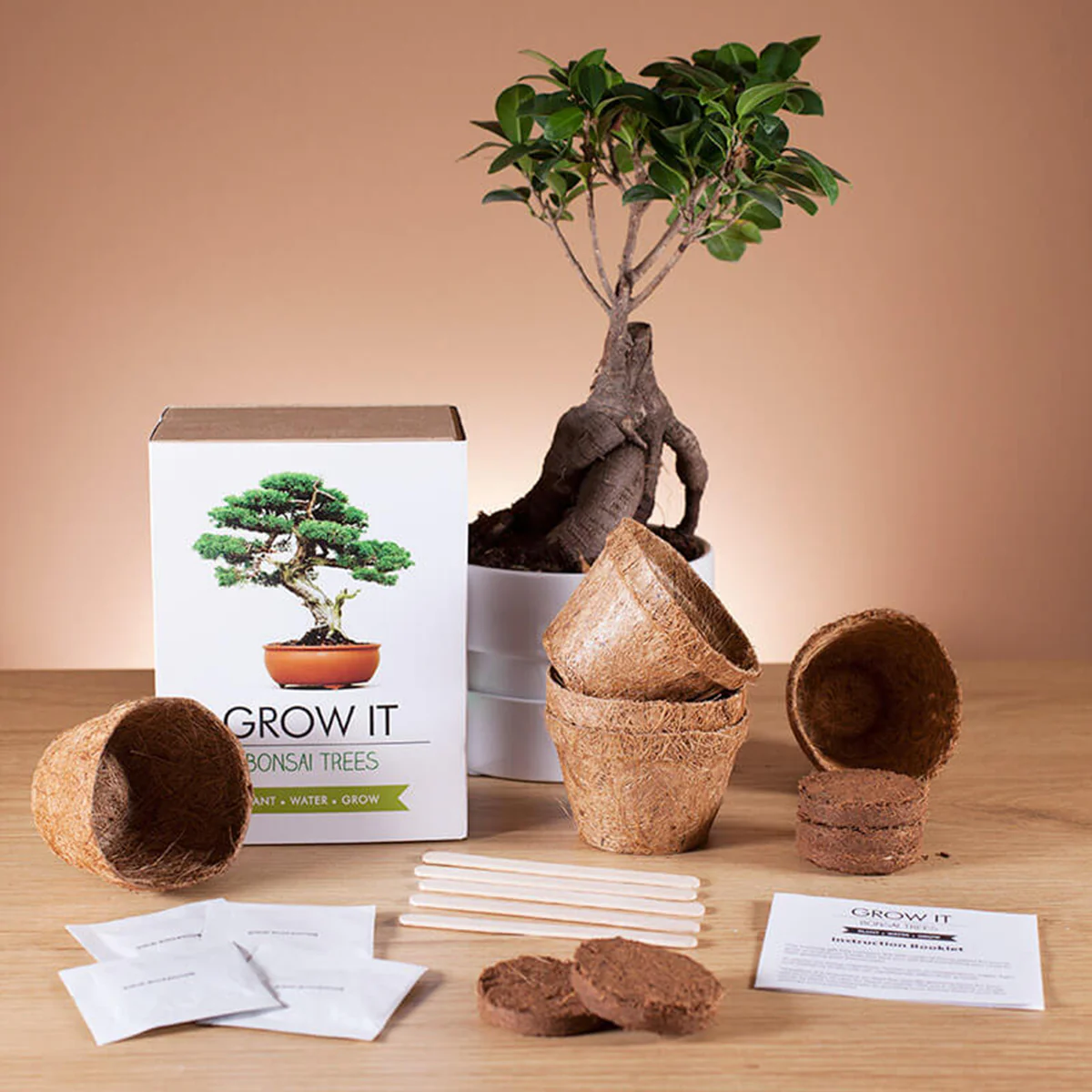 Kit Grow It Bonsai - Image 3