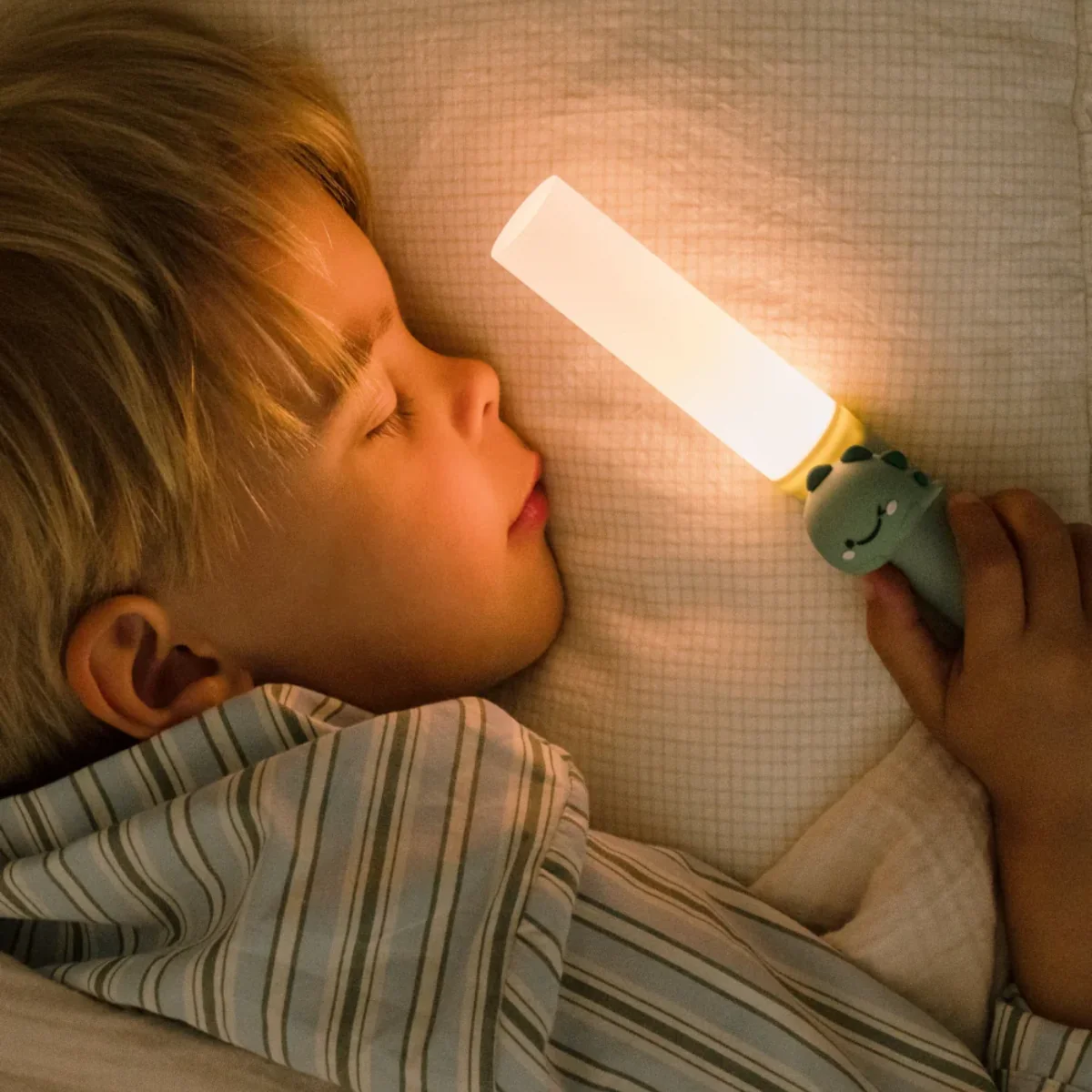 Lampe Portable - Zoo Dino - Image 6