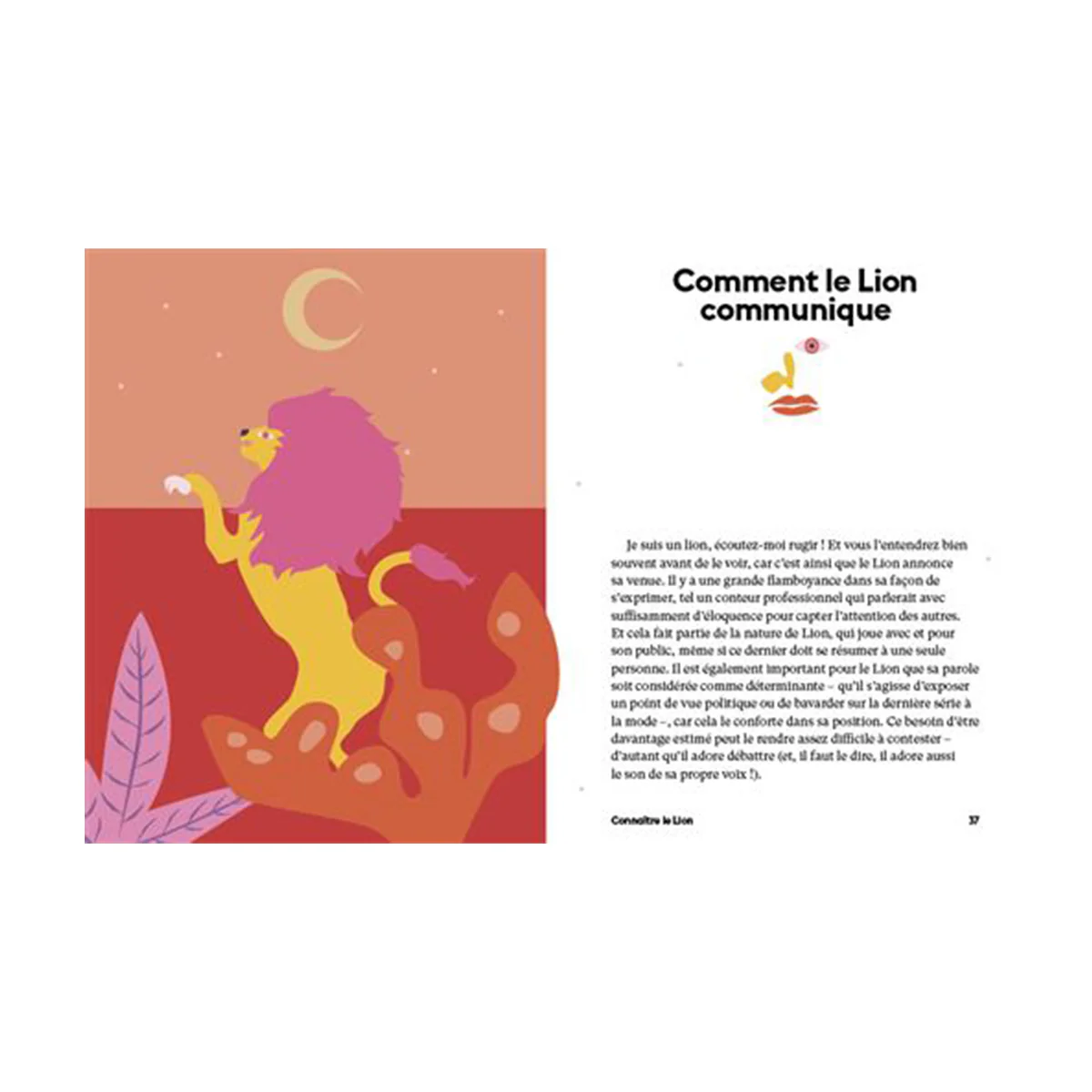 Livre Astrologie signe Lion - Image 3
