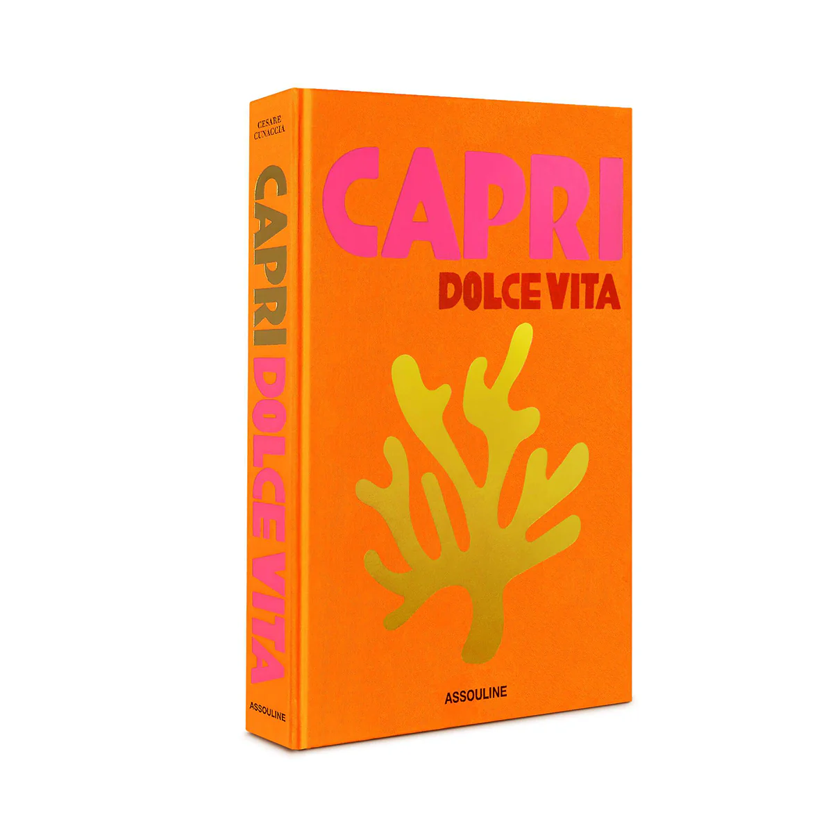 Livre Capri Dolce Vita - Image 3