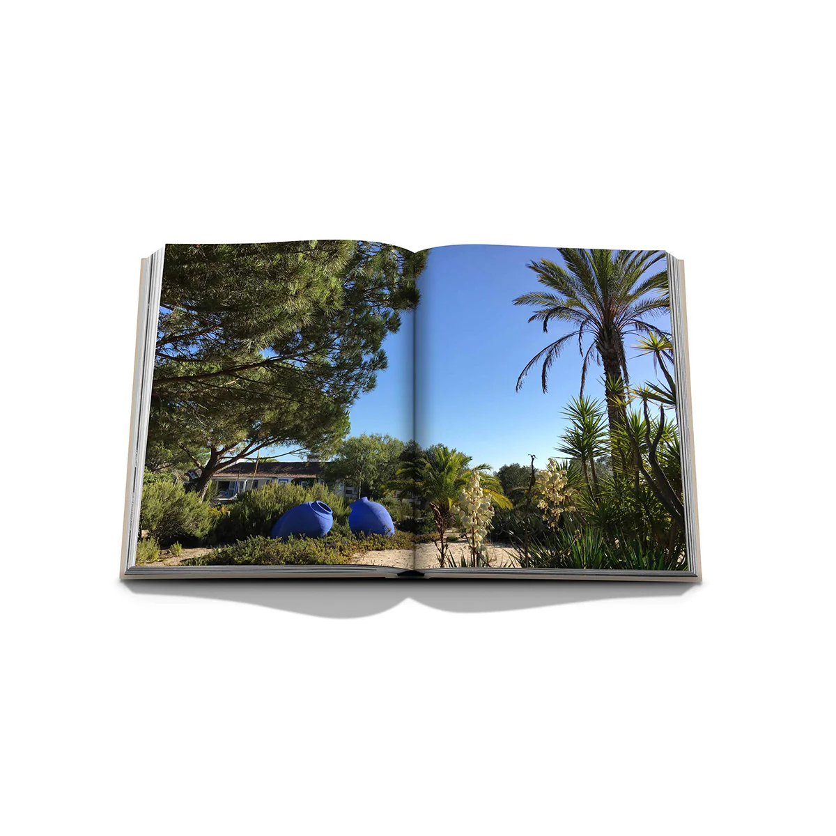 Livre Comporta Bliss - Image 5