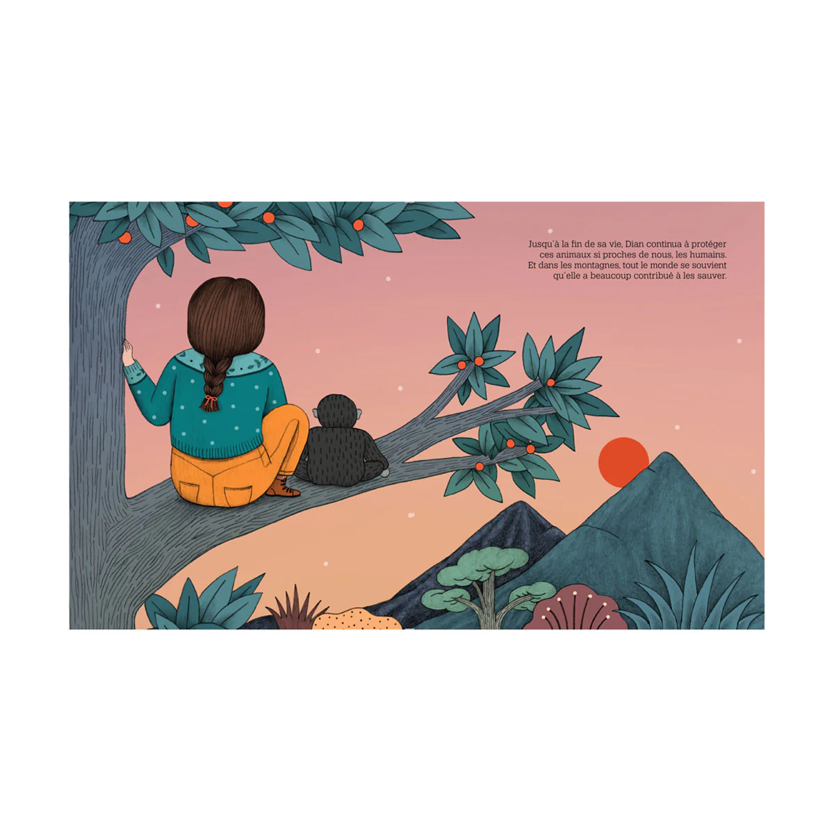 Livre Dian Fossey Collection Petite & Grande - Image 3