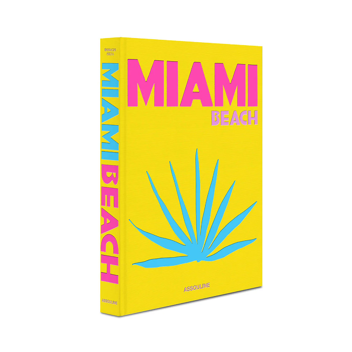 Livre Miami Beach - Image 3