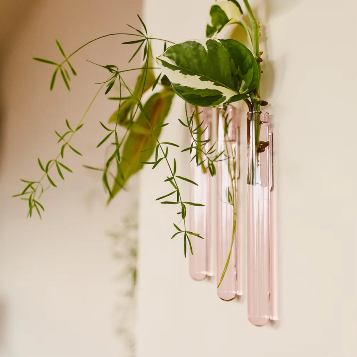 Pack de 3 vases muraux - Image 4