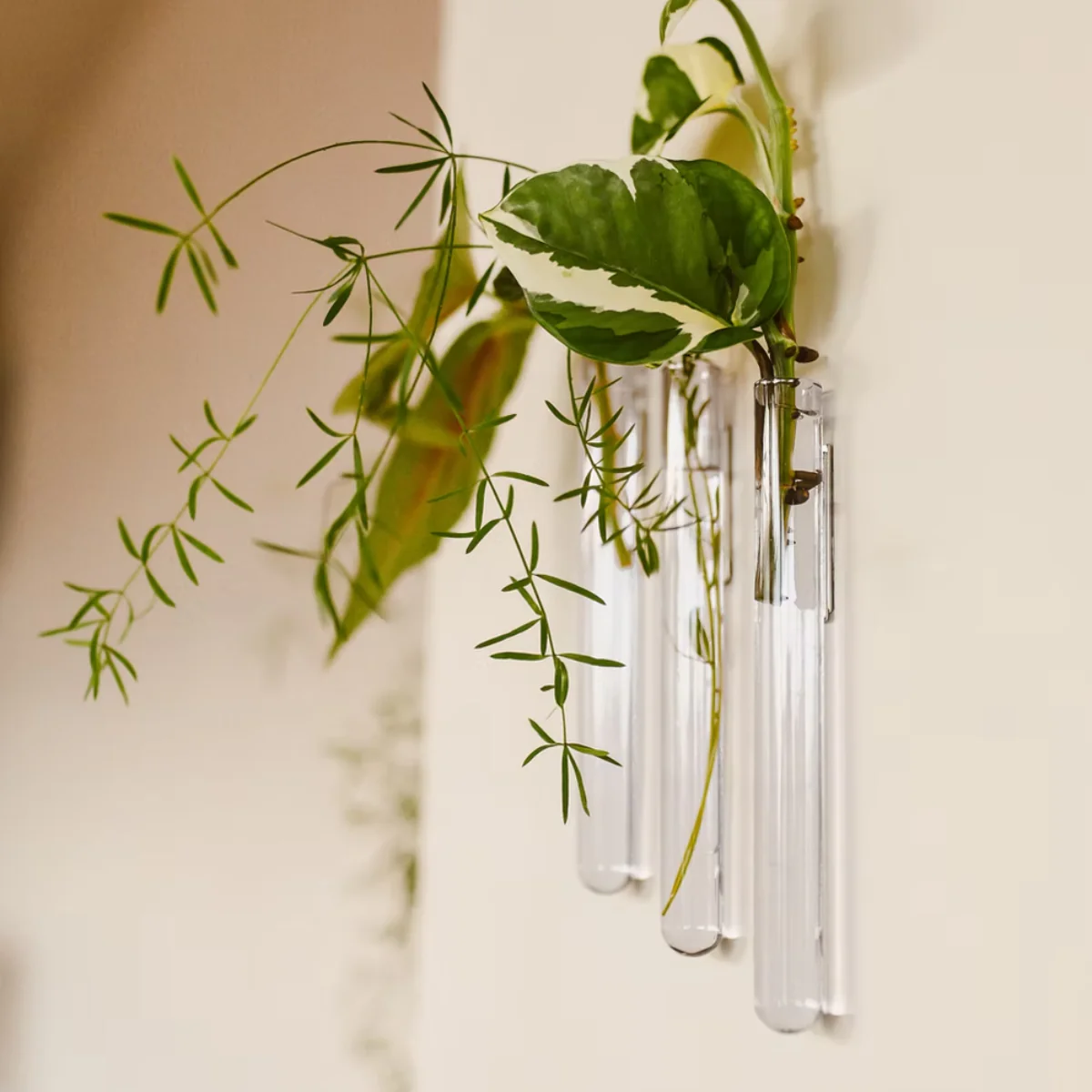 Pack de 3 vases muraux - Image 6